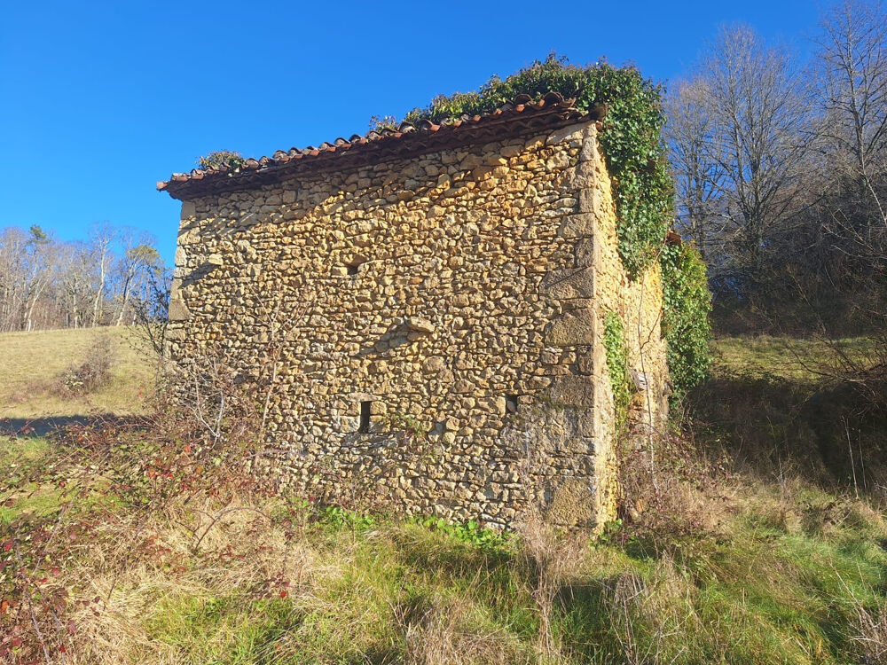 Vente Terrain TERRAIN AVEC SA RUINE Mazeyrolles