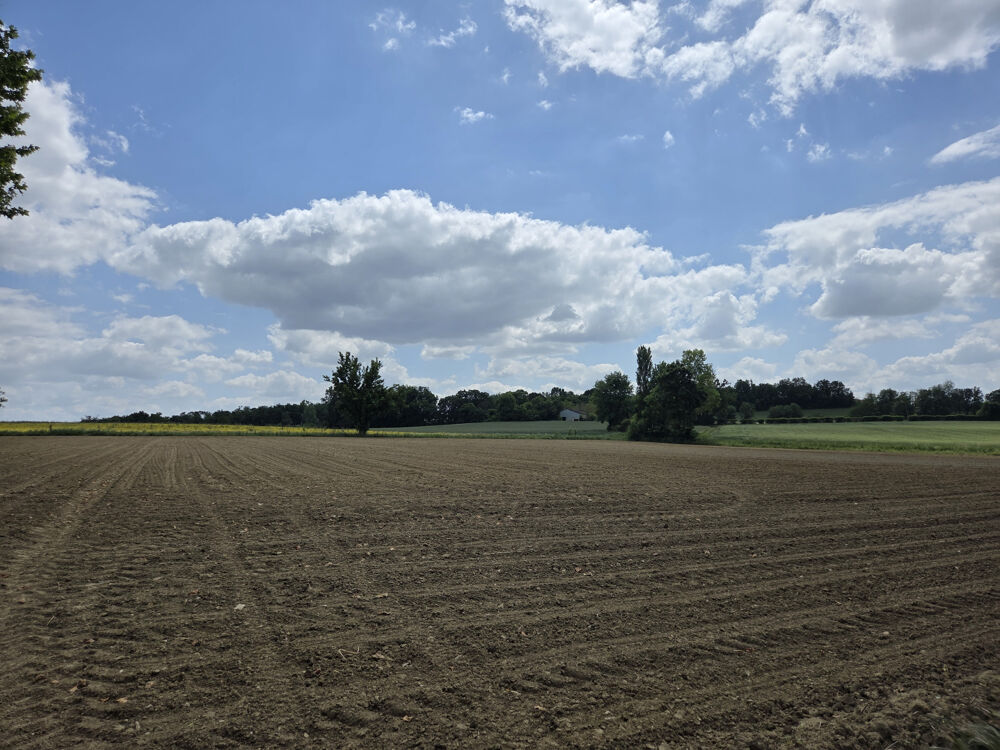 Vente Terrain Terres agricoles d'environ 17 hectares Castillonnes