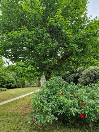  Maison à vendre 9 pièces 214 m²