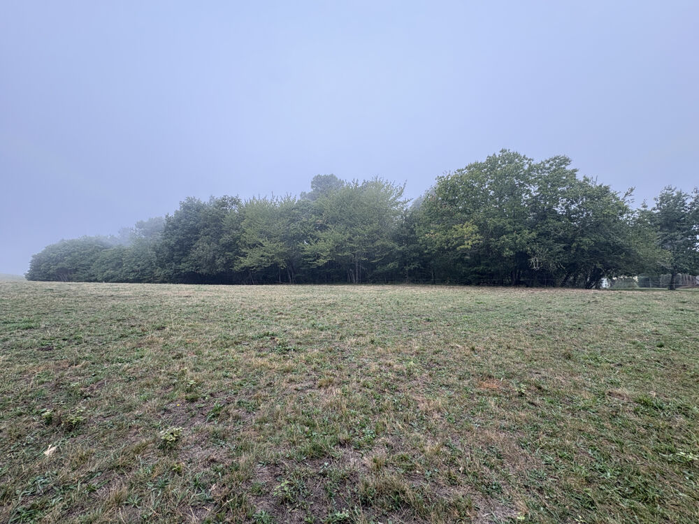 Vente Terrain Terrain constructible ORLIAC Orliac