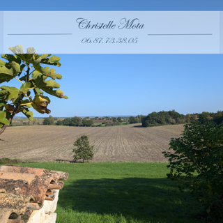  Propri�t�/ch�teau � vendre 11 pi�ces 400 m�