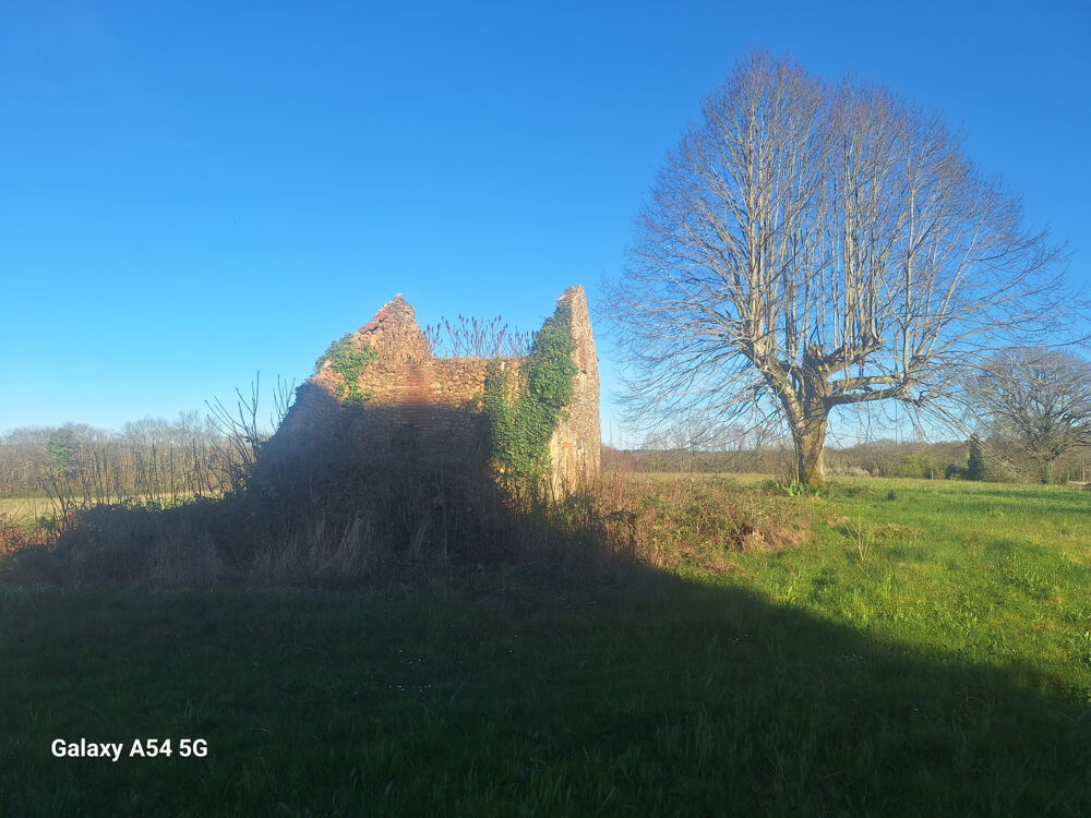 RUINE AVEC 3 Ha