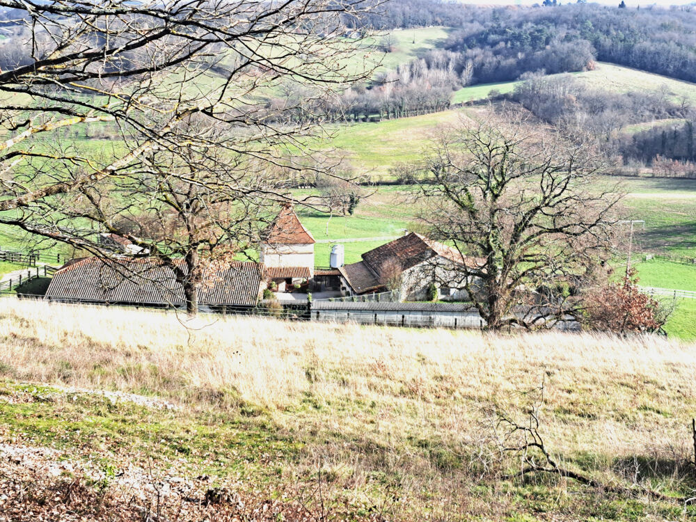 Vente Proprit/Chteau Proprit avec dpendances et terres 23 ha Ste colombe de villeneuve