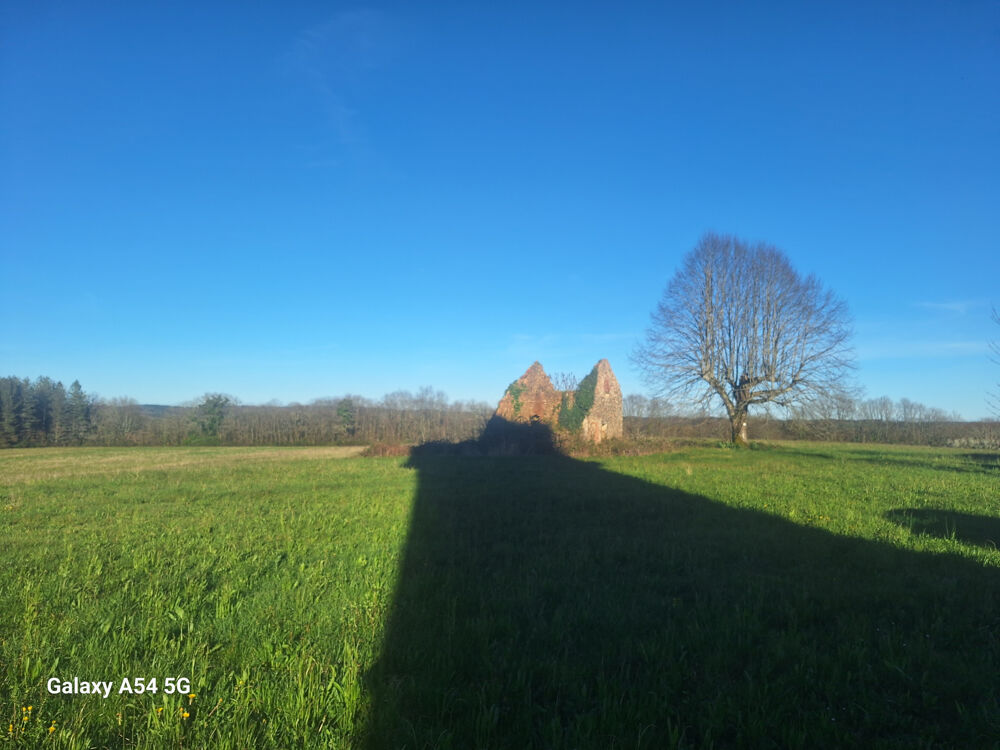 RUINE AVEC 3 Ha