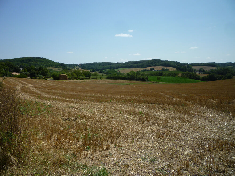 Vente Terrain TERRAIN AGRICOLE Dausse