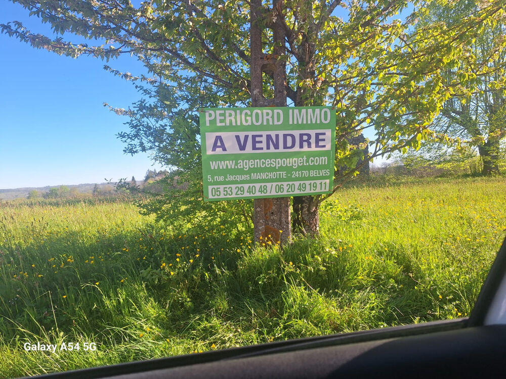 RUINE AVEC 3 Ha