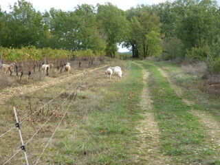  Terrain � vendre 14669 m�