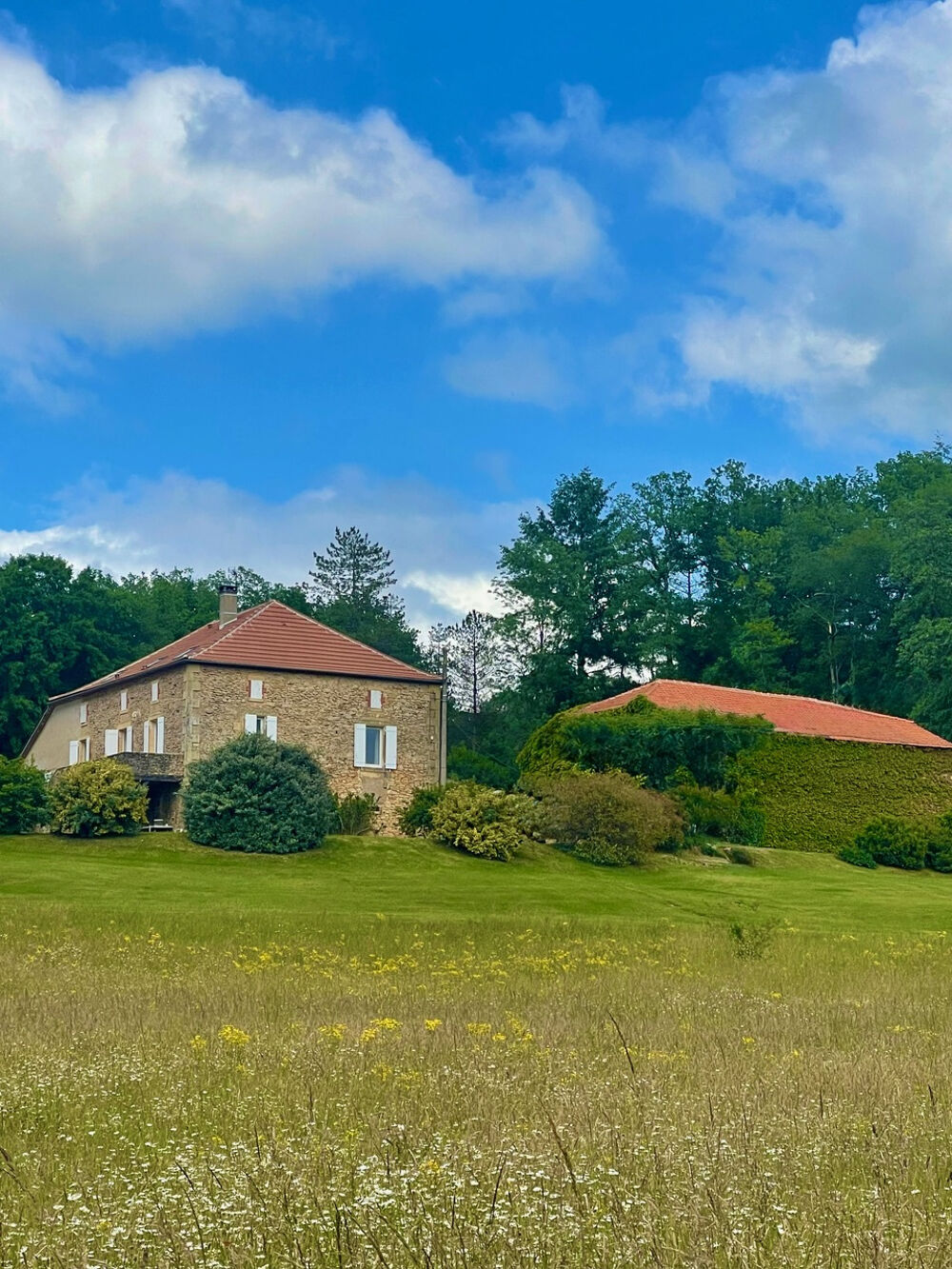 EXCLUSIVITÉ - PROPRIÉTÉ EN PIERRE DE 217 M2 HABITABLE AVEC GRANGE EN PIERRE DE 300 M2 SUR 9 HECTARES DE TERR