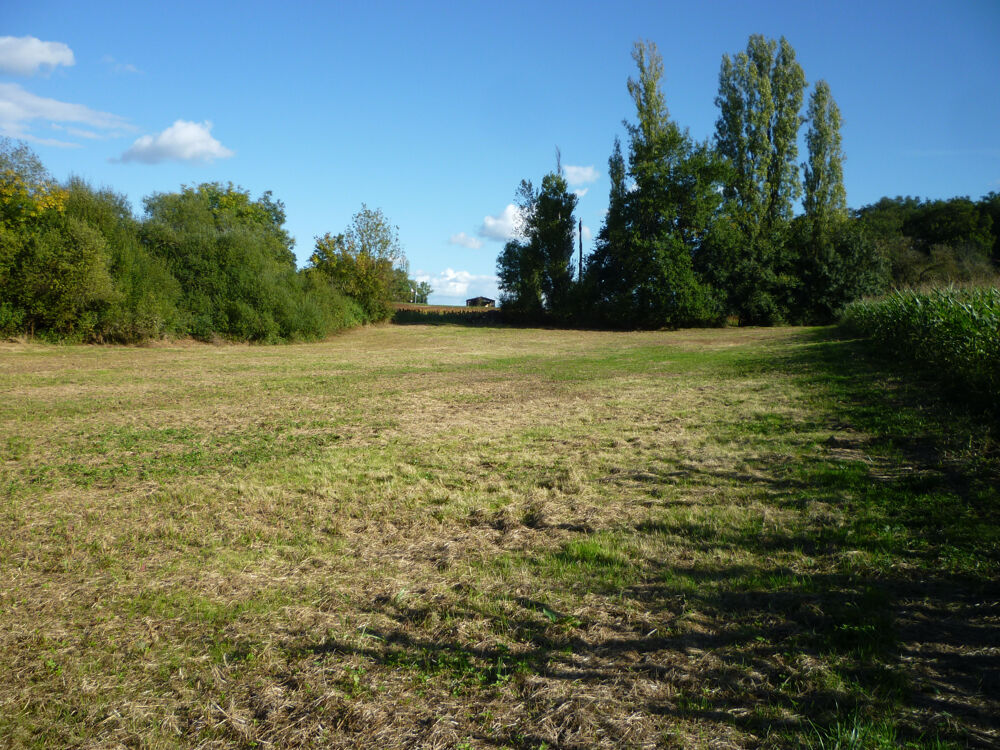 Vente Terrain TERRAIN DE LOISIR Masquieres