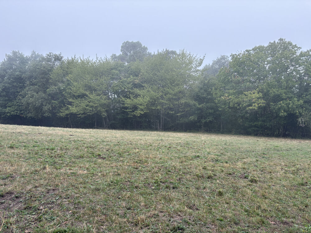 Vente Terrain Terrain constructible ORLIAC Orliac