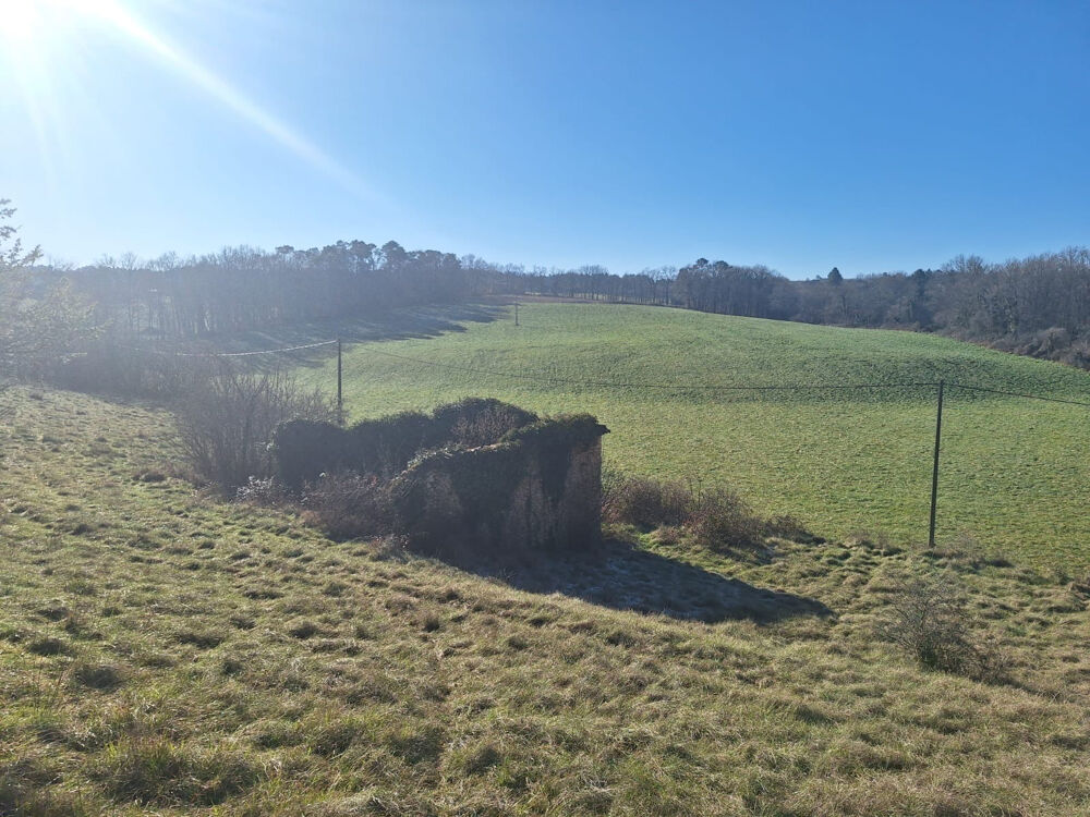 Vente Terrain TERRAIN AVEC SA RUINE Mazeyrolles