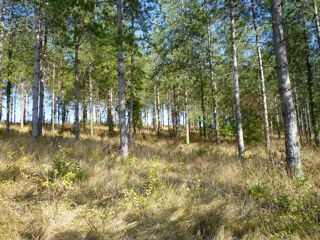  Terrain à vendre 24300 m²