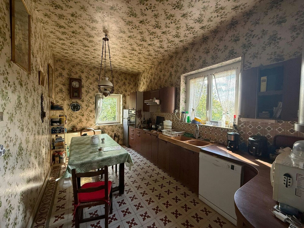 Vente Propriété/Château TOUSSIEUX (01600) PROPRIETE BOURGEOISE HISTORIQUE DE 1849 Toussieux