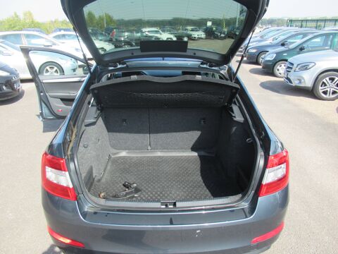 Octavia TDI 110 Green Tec Active 2016 occasion 10410 Saint-Parres-aux-Tertres
