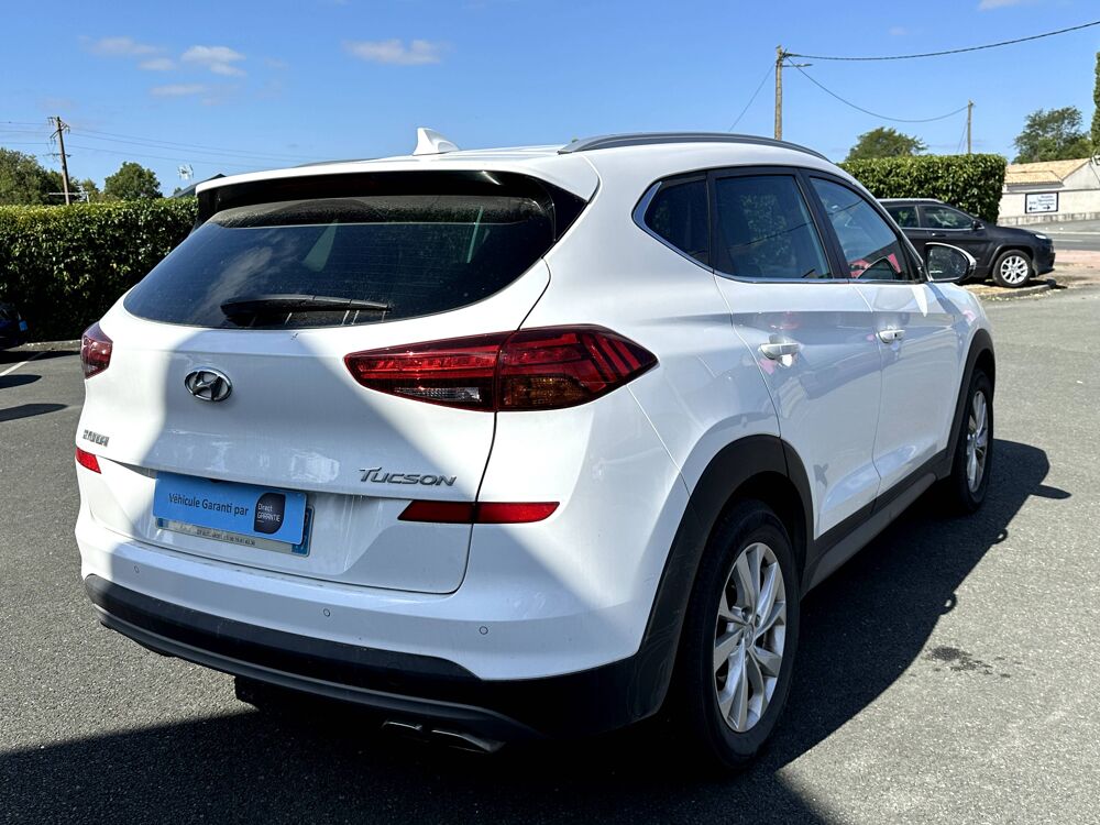 Tucson 1.6 CRDI 115ch Intuitive 2019 occasion 17430 Tonnay-Charente