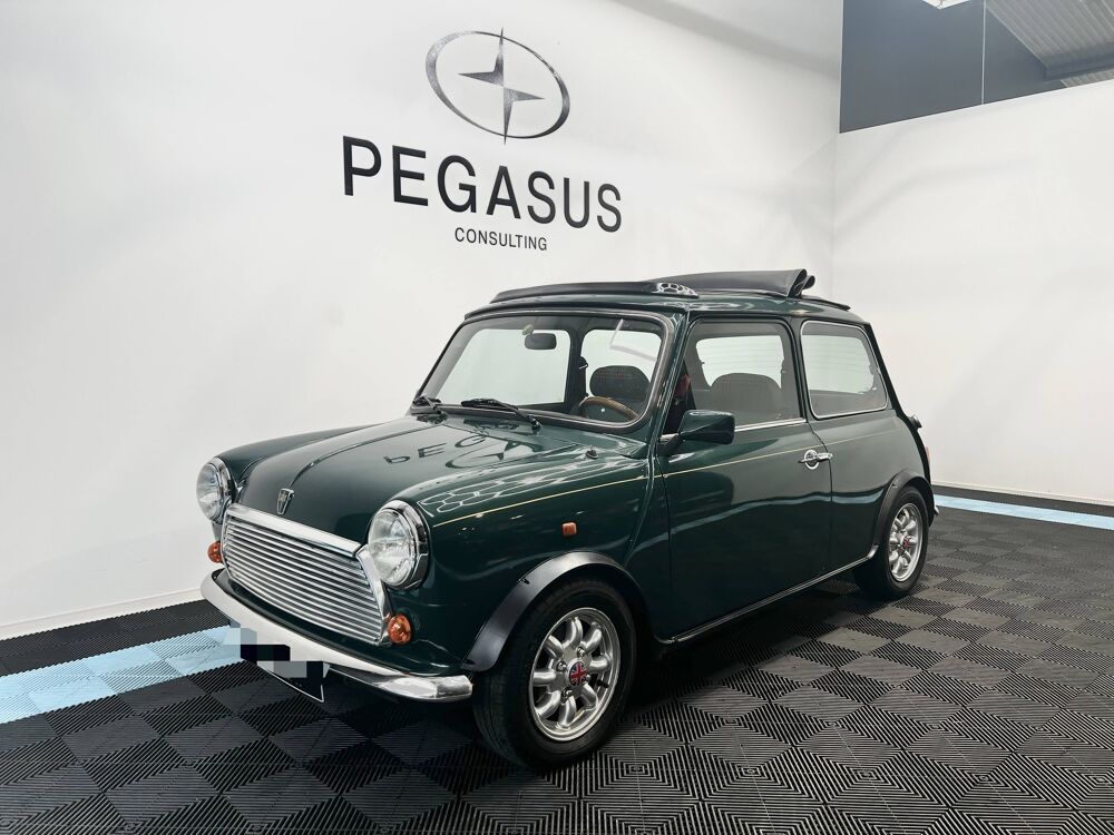 Mini 1.3 Cabriolet 1996 occasion 47390 Layrac