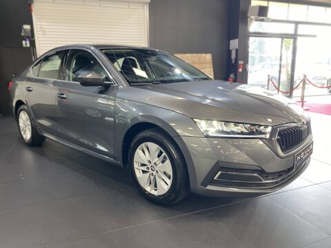 Octavia Ambition 2023 occasion 77240 Vert-Saint-Denis