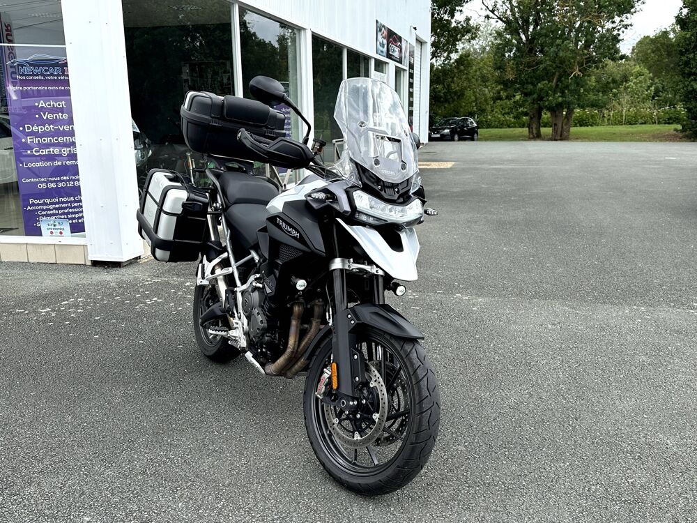 TRIUMPH 2022 occasion 17430 Tonnay-Charente