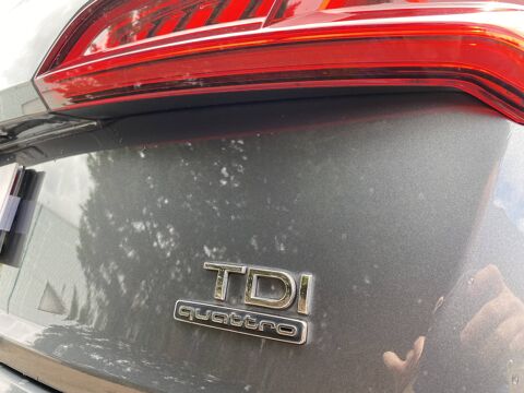 Q5 50 TDI 286ch Avus quattro Tiptronic 8 Euro6d-T 2019 occasion 78200 Buchelay
