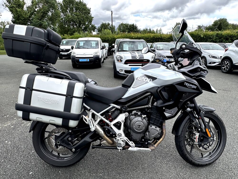 TRIUMPH 2022 occasion 17430 Tonnay-Charente