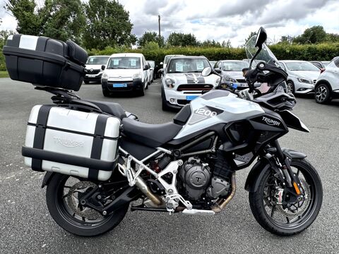 TRIUMPH 2022 occasion 17430 Tonnay-Charente