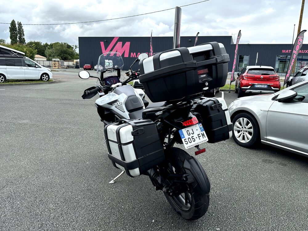 TRIUMPH 2022 occasion 17430 Tonnay-Charente