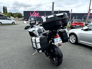 TRIUMPH 2022 occasion 17430 Tonnay-Charente