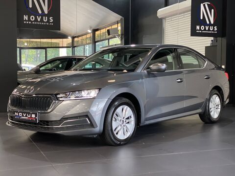 Octavia Ambition 2023 occasion 77240 Vert-Saint-Denis