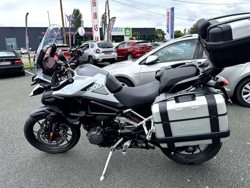 TRIUMPH 2022 occasion 17430 Tonnay-Charente
