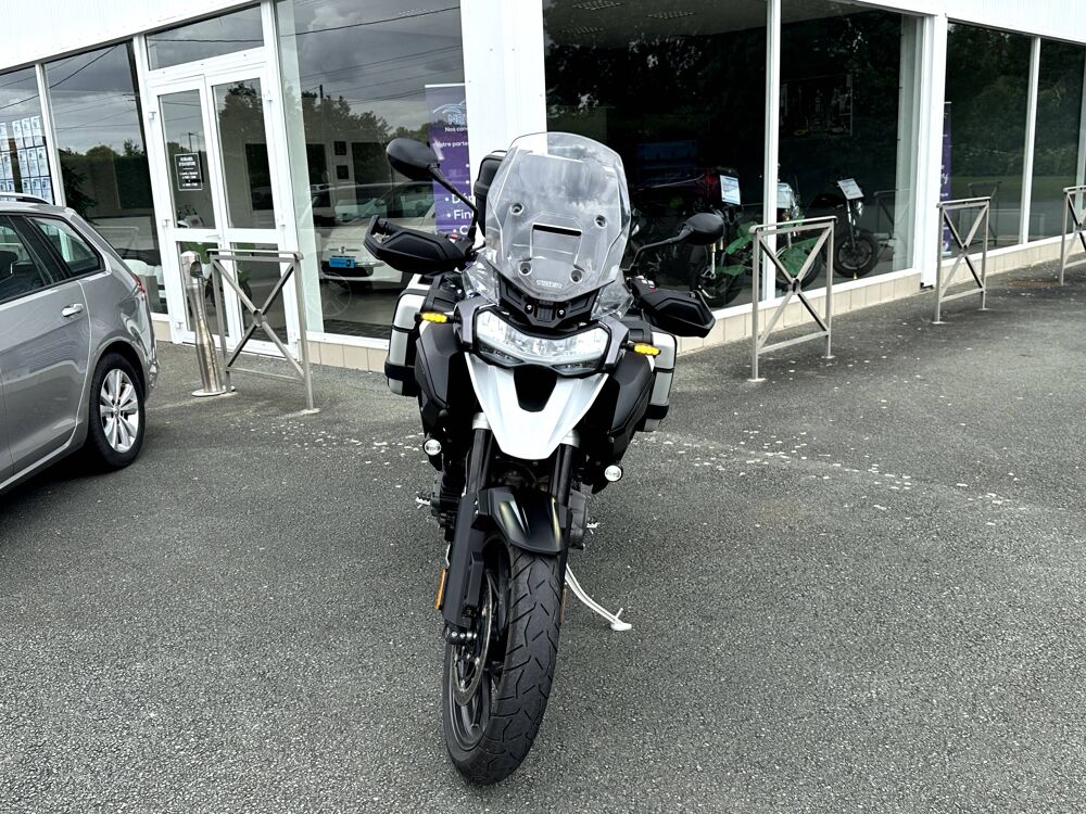 TRIUMPH 2022 occasion 17430 Tonnay-Charente