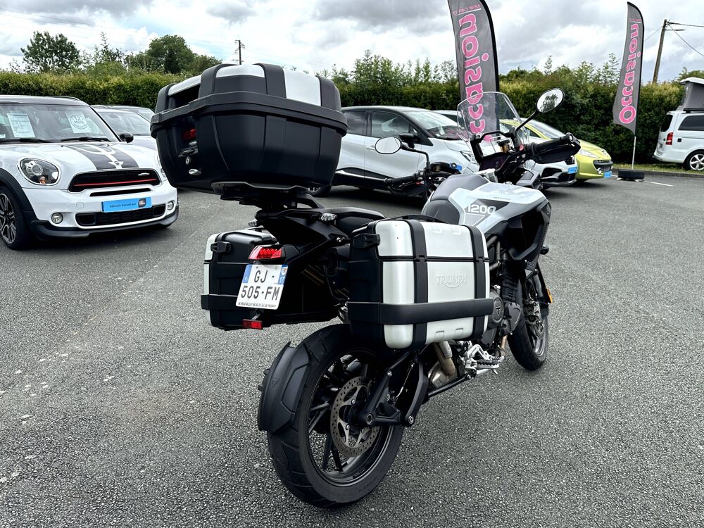 TRIUMPH 2022 occasion 17430 Tonnay-Charente