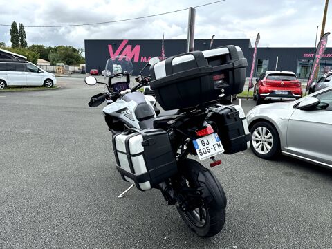 TRIUMPH 2022 occasion 17430 Tonnay-Charente
