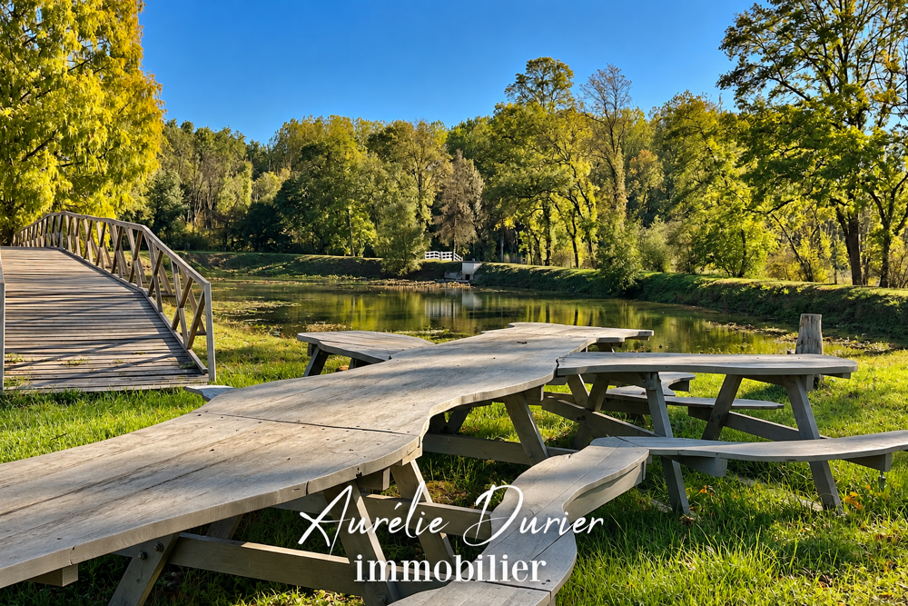 Vente Propriété/Château PROPRIÉTÉ CONSTANCE Rivarennes