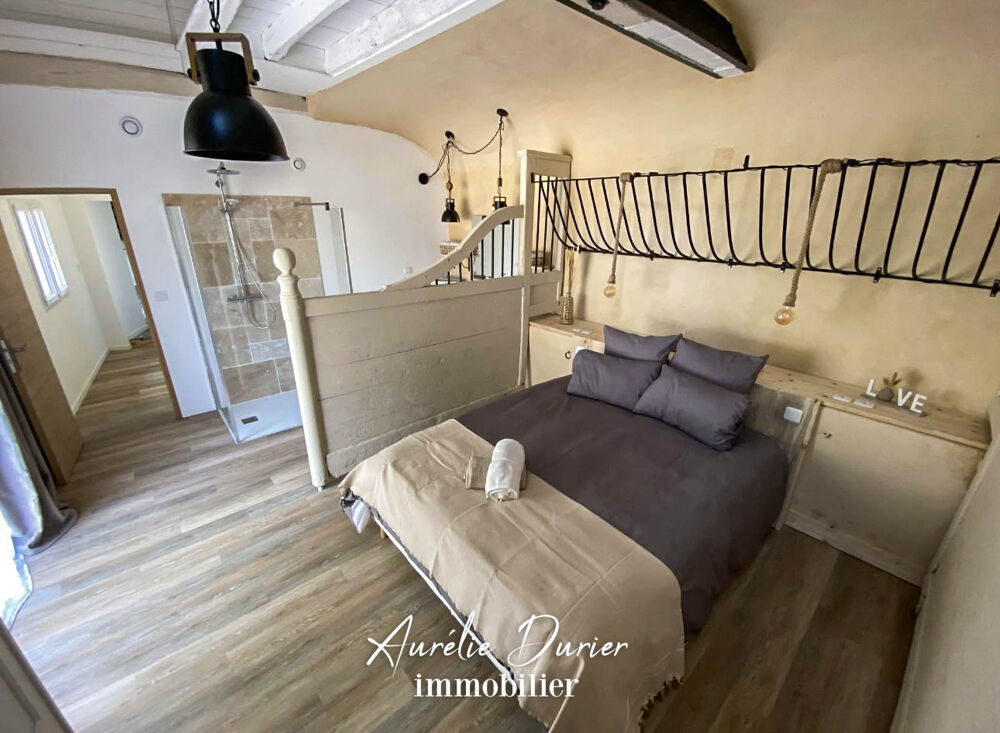 � vendre  Propri�t�/ch�teau Mosnes (37530)