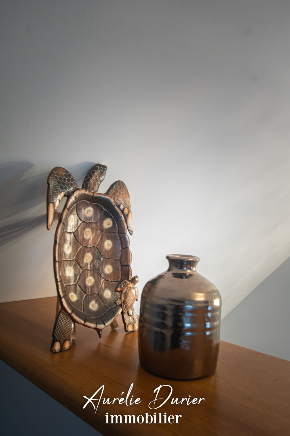 � vendre  Maison Amboise (37400)