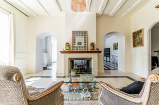  Propri�t�/ch�teau � vendre 12 pi�ces 375 m�