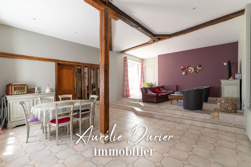 à vendre  Maison Pocé-sur-Cisse (37530)