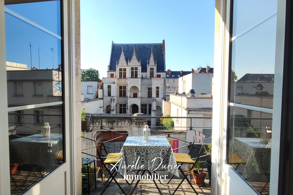 Appartement Layla Tours Hyper Centre