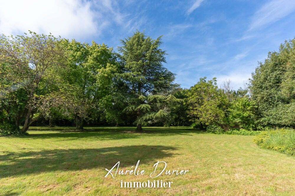 � vendre  Maison Savonni�res (37510)