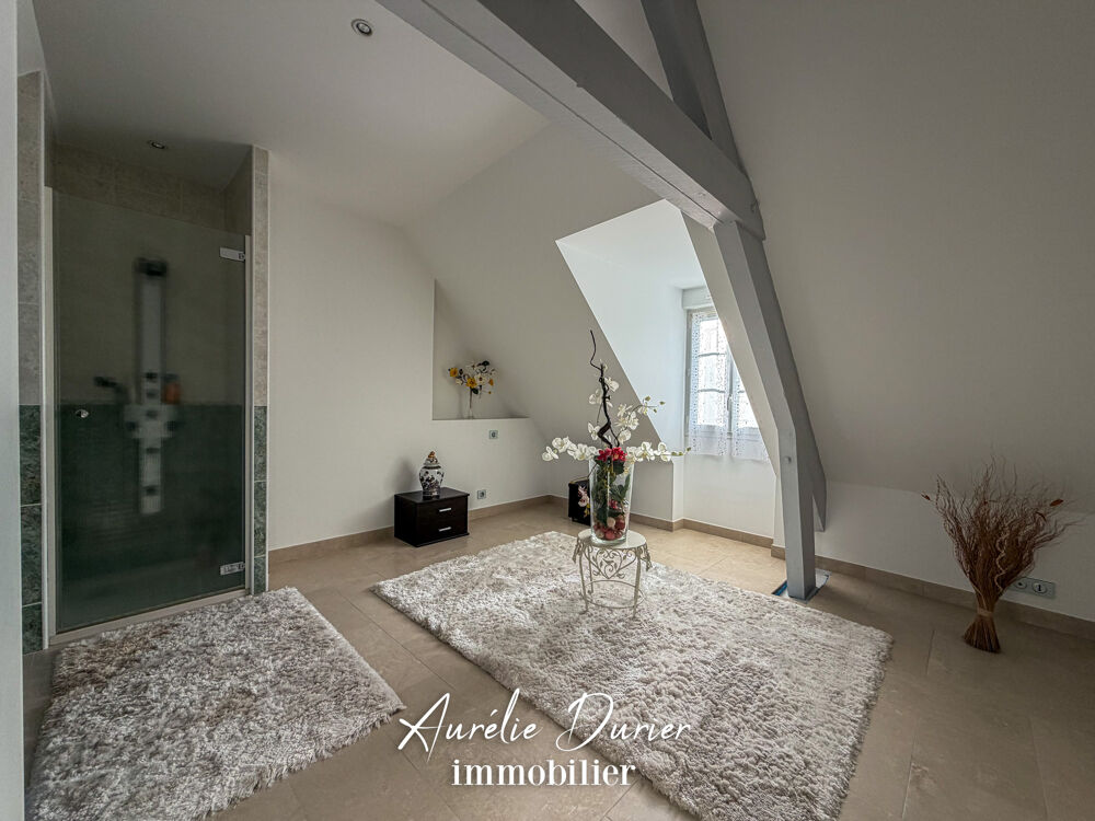 � vendre  Maison Bl�r� (37150)