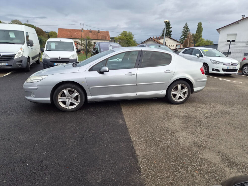 407 2.0 HDi 16V 140ch FAP Confort Pack 2009 occasion 90400 Tr&eacute;venans