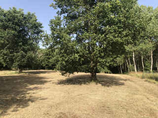  Terrain à vendre 8000 m²