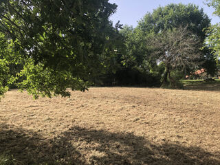  Terrain à vendre 8000 m²