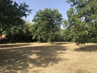  Terrain à vendre 8000 m²