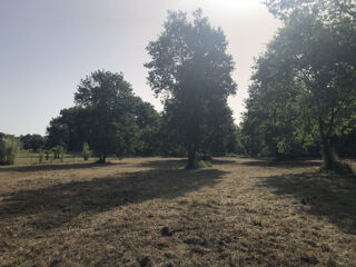  Terrain à vendre 8000 m²