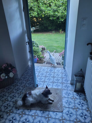  Maison � vendre 10 pi�ces 198 m�