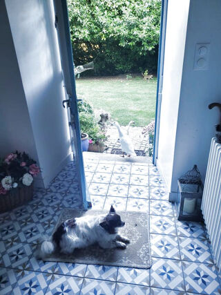  Proprit/chteau  vendre 10 pices 198 m