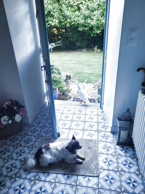 Vente Propri�t�/Ch�teau Demeure de Prestige avec Potentiel G�tes ou Chambres d'H�tes   Cadre Exceptionnel Clohars carnoet