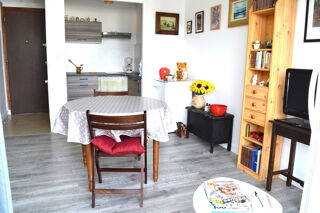  Appartement � vendre 2 pi�ces 29 m�