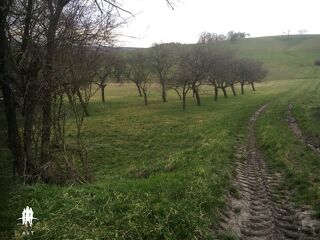  Terrain  vendre 1845 m Velving